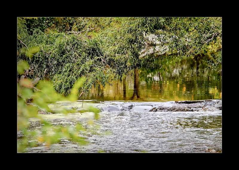 Refelections stay on drifting waters- 01